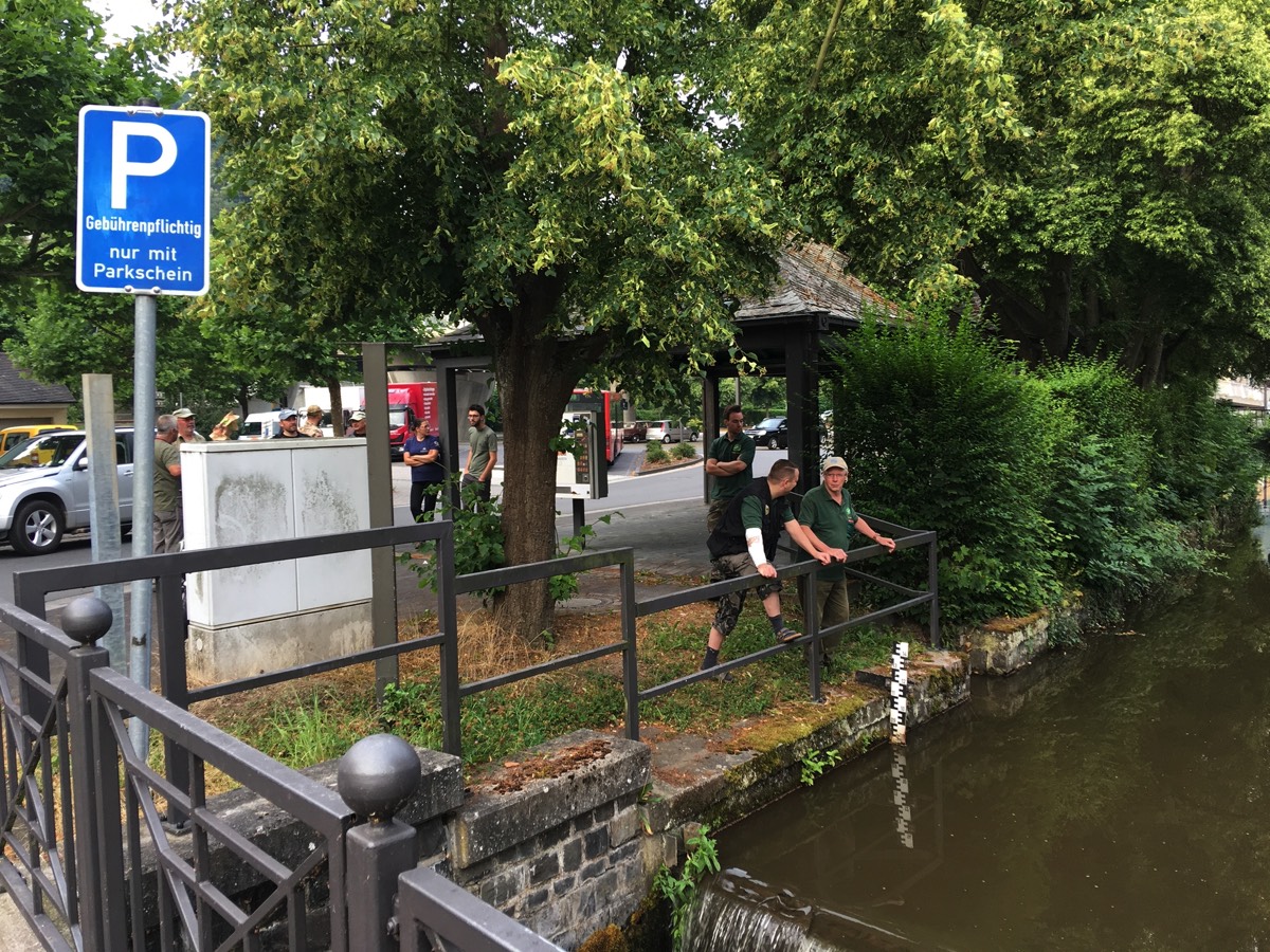 Deichabfischen 2018