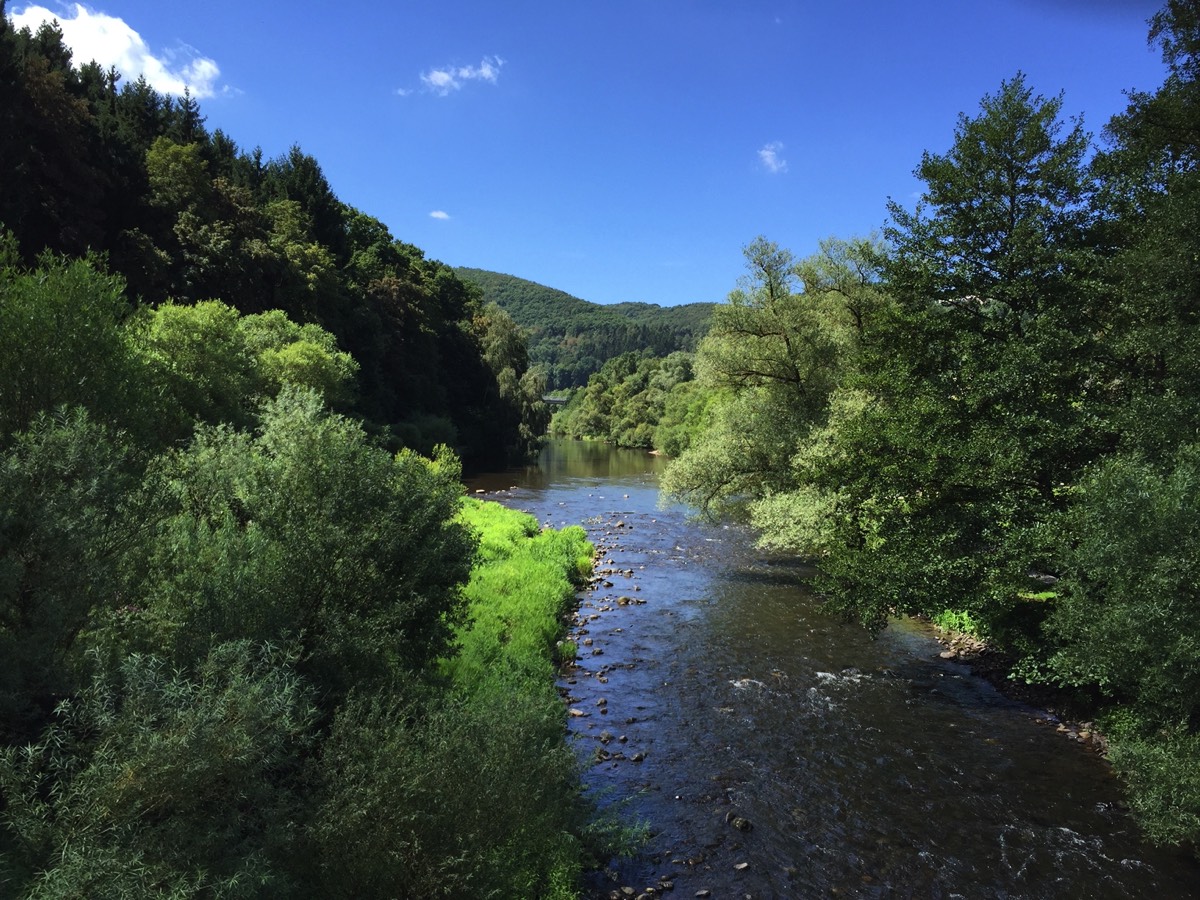 Im Klingelrech
